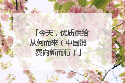 今天，优质供给从何而来（中国消费向新而行）