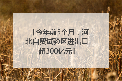 今年前5个月，河北自贸试验区进出口超300亿元