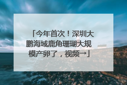 今年首次！深圳大鹏海域鹿角珊瑚大规模产卵了，视频→