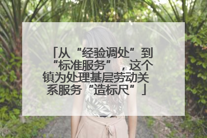 从“经验调处”到“标准服务”，这个镇为处理基层劳动关系服务“造标尺”