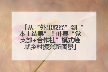 从“外出取经”到“本土结果”！叶县“党支部+合作社”模式绘就乡村振兴新图景