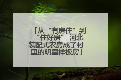 从“有房住”到“住好房” 河北装配式农房成了村里的明星样板房