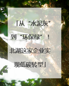 从“水泥灰”到“环保绿”！北湖这家企业实现低碳转型