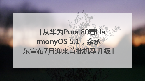 从华为Pura 80看HarmonyOS 5.1，余承东宣布7月迎来首批机型升级