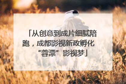 从创意到成片细腻陪跑，成都影视新政孵化“蓉漂”影视梦