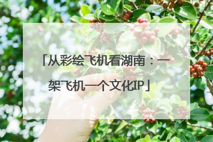 从彩绘飞机看湖南：一架飞机一个文化IP