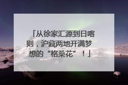 从徐家汇源到日喀则，沪藏两地开满梦想的“格桑花”！