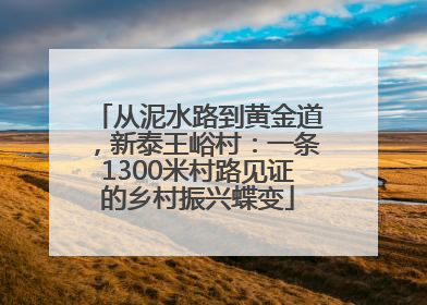 从泥水路到黄金道，新泰王峪村：一条1300米村路见证的乡村振兴蝶变