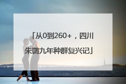 从0到260+，四川朱鹮九年种群复兴记