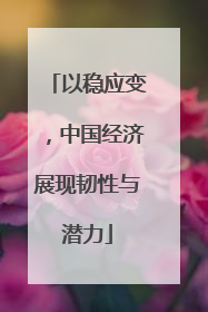 以稳应变，中国经济展现韧性与潜力