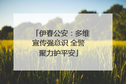 伊春公安：多维宣传强意识 全警聚力护平安