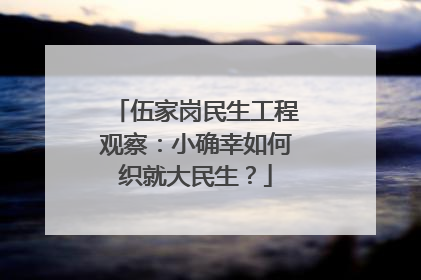 伍家岗民生工程观察：小确幸如何织就大民生？