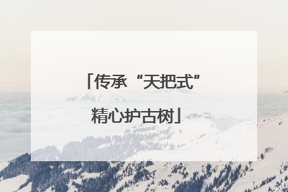 传承“天把式” 精心护古树