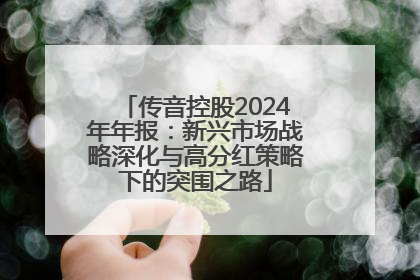 传音控股2024年年报：新兴市场战略深化与高分红策略下的突围之路