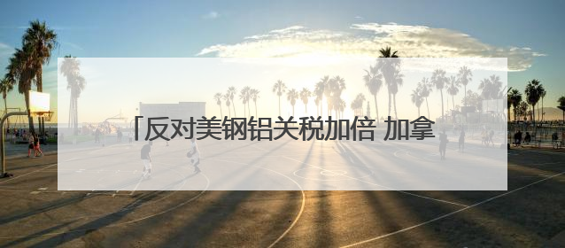 反对美钢铝关税加倍 加拿大、墨西哥、欧盟反应来了