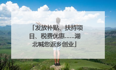 发放补贴、扶持项目、税费优惠……湖北喊您返乡创业