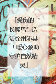 受伤的“长嘴鸟”造访徐州沛县！暖心救助守护自然精灵