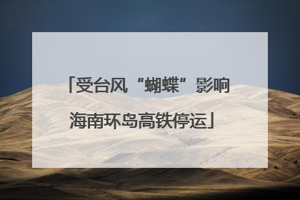 受台风“蝴蝶”影响 海南环岛高铁停运