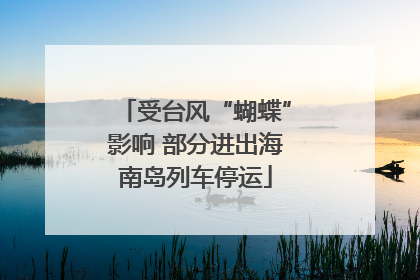 受台风“蝴蝶”影响 部分进出海南岛列车停运