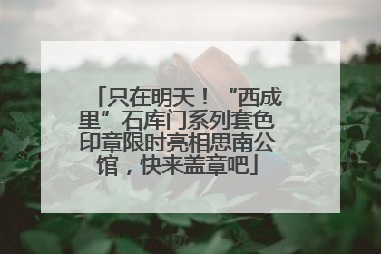 只在明天！“西成里”石库门系列套色印章限时亮相思南公馆，快来盖章吧