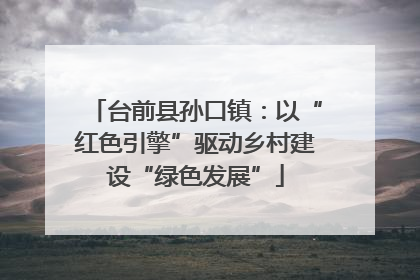 台前县孙口镇：以“红色引擎”驱动乡村建设“绿色发展”