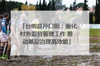 台前县孙口镇：强化村务监督管理工作 推动基层治理高效能