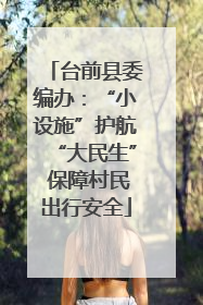 台前县委编办：“小设施”护航“大民生” 保障村民出行安全