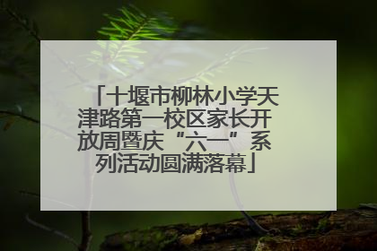 十堰市柳林小学天津路第一校区家长开放周暨庆“六一”系列活动圆满落幕