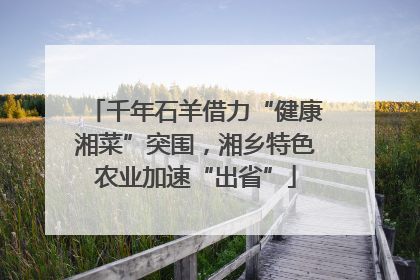 千年石羊借力“健康湘菜”突围，湘乡特色农业加速“出省”