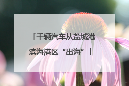 千辆汽车从盐城港滨海港区“出海”