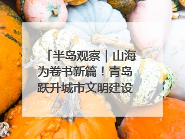 半岛观察｜山海为卷书新篇！青岛跃升城市文明建设“新航线”