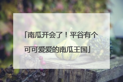 南瓜开会了！平谷有个可可爱爱的南瓜王国