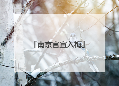 南京官宣入梅
