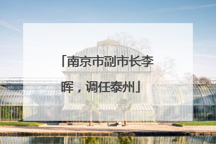 南京市副市长李晖，调任泰州