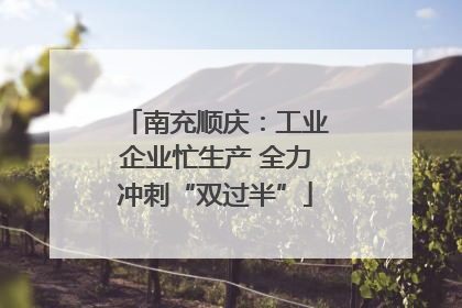 南充顺庆：工业企业忙生产 全力冲刺“双过半”