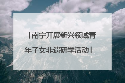 南宁开展新兴领域青年子女非遗研学活动