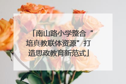 南山路小学整合“培真教联体资源”打造思政教育新范式