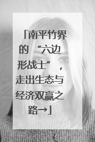南平竹界的 “六边形战士”，走出生态与经济双赢之路→