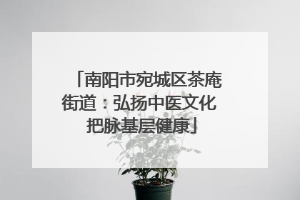 南阳市宛城区茶庵街道：弘扬中医文化 把脉基层健康