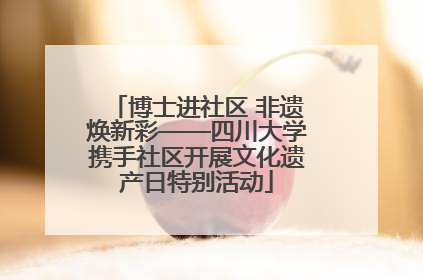 博士进社区 非遗焕新彩——四川大学携手社区开展文化遗产日特别活动