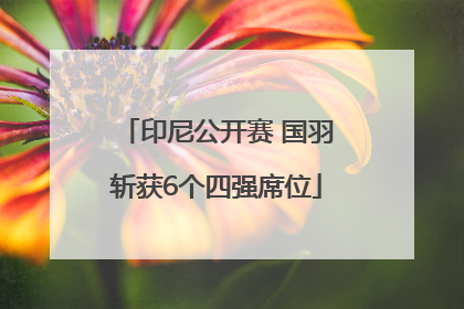 印尼公开赛 国羽斩获6个四强席位