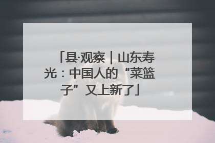 县·观察｜山东寿光：中国人的“菜篮子”又上新了