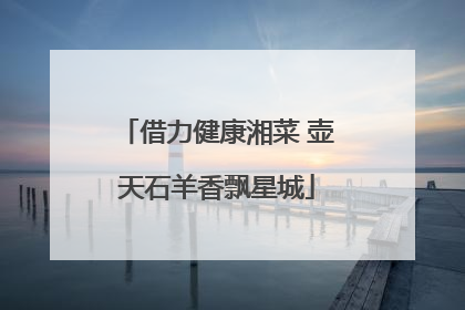 借力健康湘菜 壶天石羊香飘星城