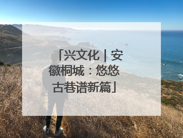 兴文化｜安徽桐城：悠悠古巷谱新篇