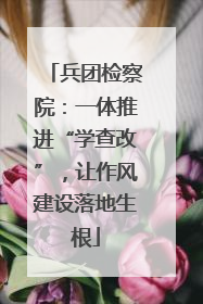 兵团检察院：一体推进“学查改”，让作风建设落地生根