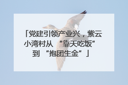 党建引领产业兴，紫云小湾村从 “靠天吃饭” 到 “抱团生金”
