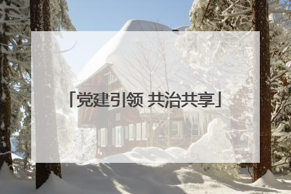党建引领 共治共享