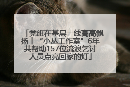 党旗在基层一线高高飘扬丨“小丛工作室”6年共帮助157位流浪乞讨人员点亮回家的灯