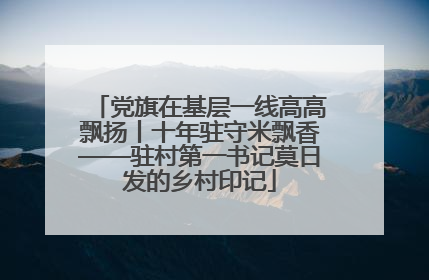党旗在基层一线高高飘扬丨十年驻守米飘香——驻村第一书记莫日发的乡村印记
