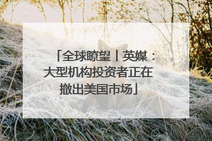 全球瞭望丨英媒：大型机构投资者正在撤出美国市场